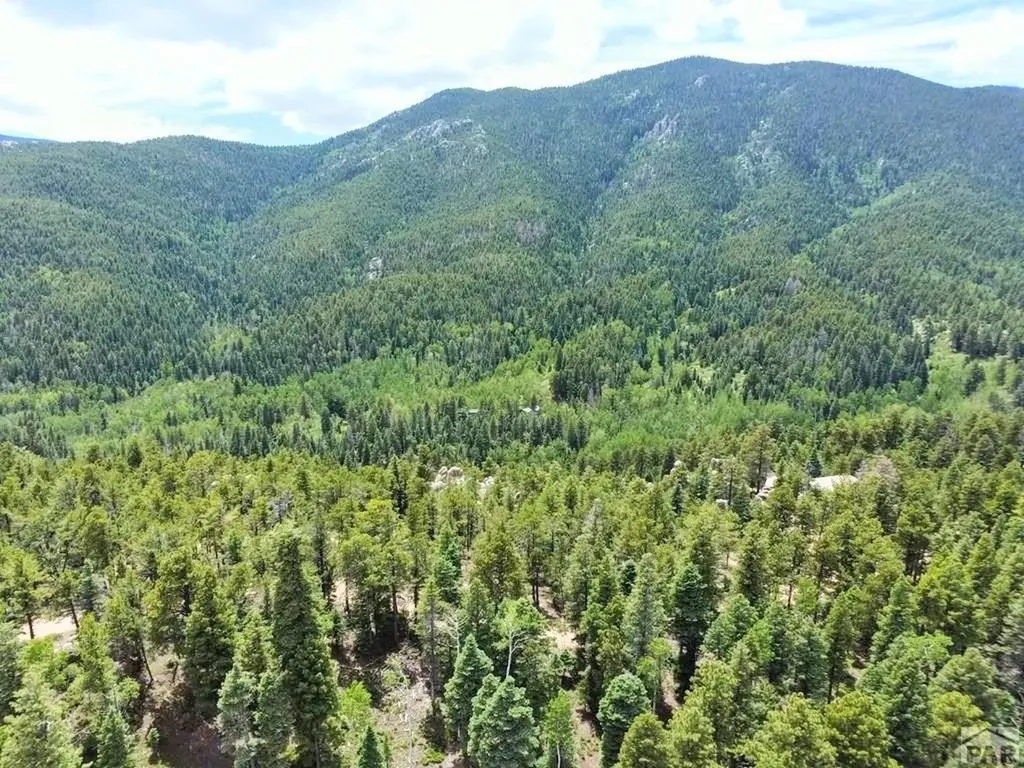 10 Robert Road Rye CO 81069