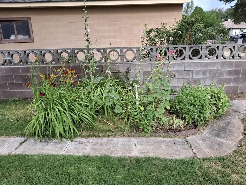 303 E Florence Avenue Fowler CO 81039