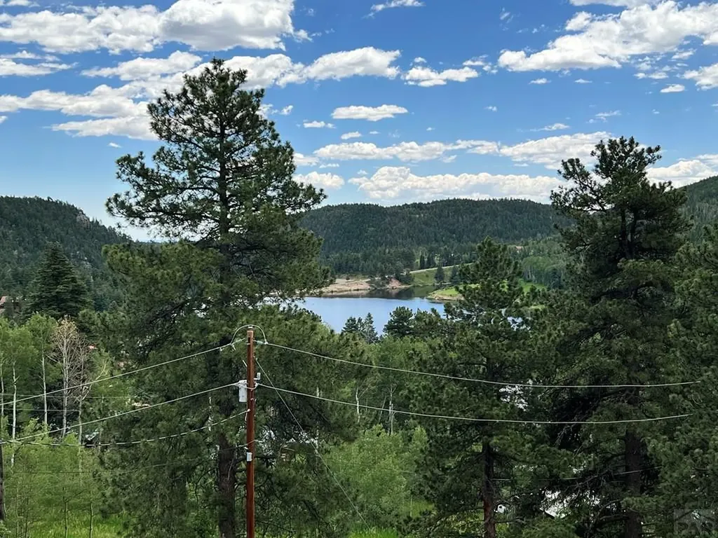 105 Street Charles Avenue Rye CO 81069