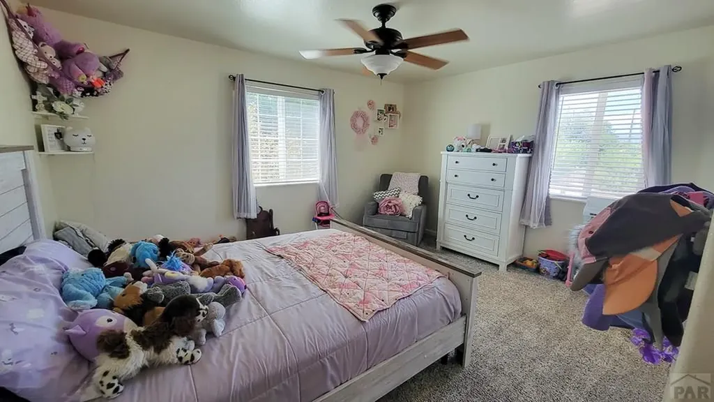 12 Grant Avenue Penrose CO 81240