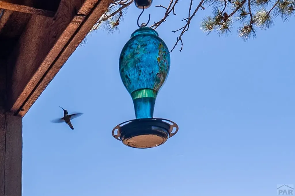 24401 County Road 44 Aguilar CO 81020