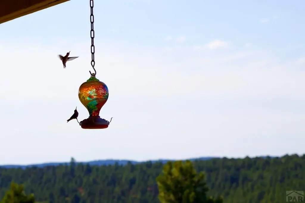 23560 Big Horn Drive Aguilar CO 81020