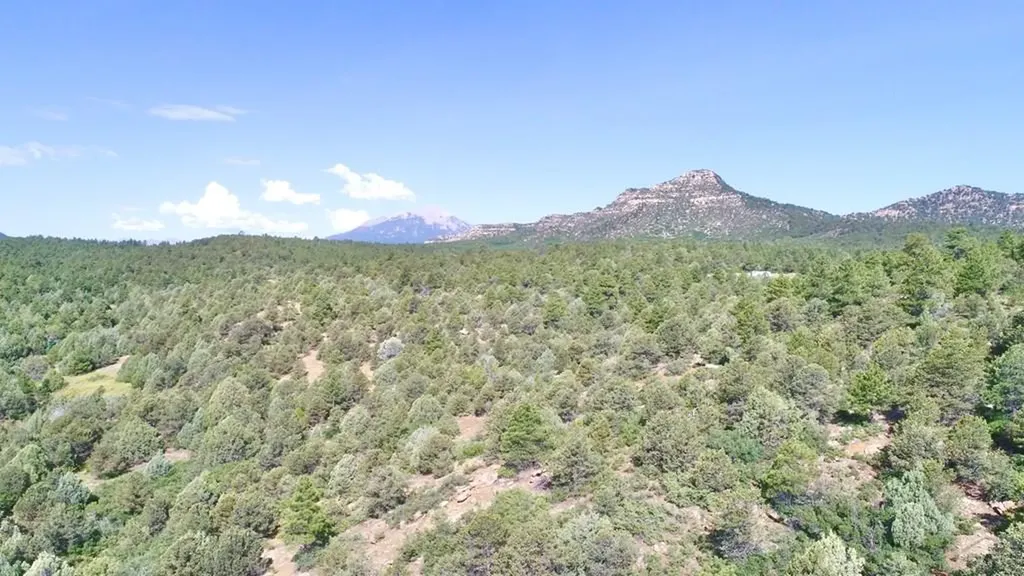 23560 Big Horn Drive Aguilar CO 81020