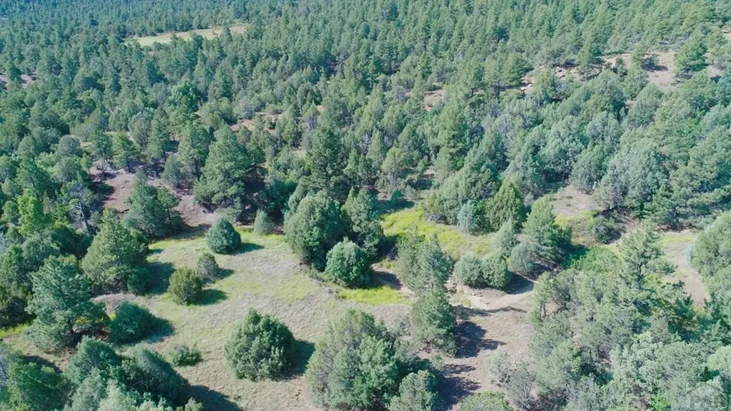 23560 Big Horn Drive Aguilar CO 81020