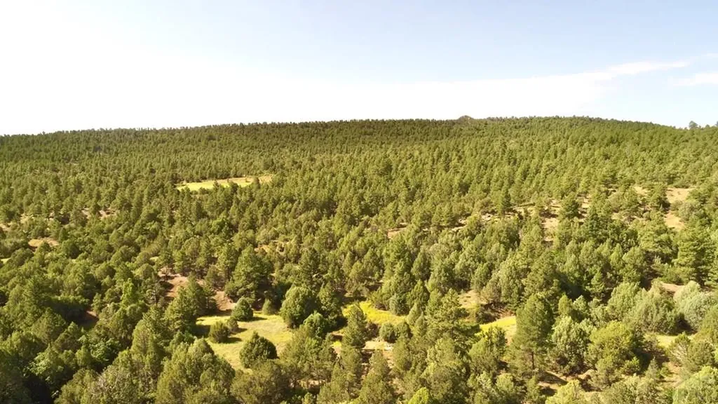 23560 Big Horn Drive Aguilar CO 81020