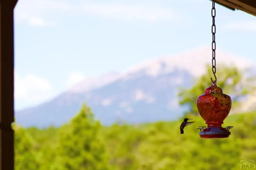 23560 Big Horn Drive Aguilar CO 81020