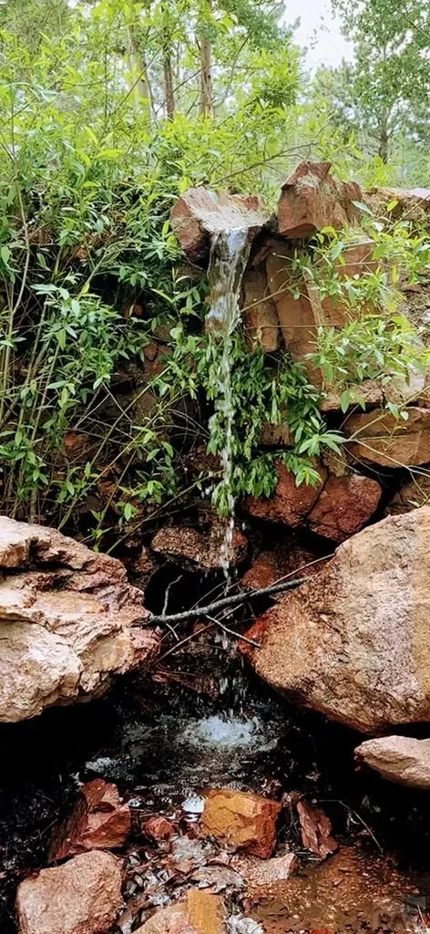 21691 County Road 67 Penrose CO 81223