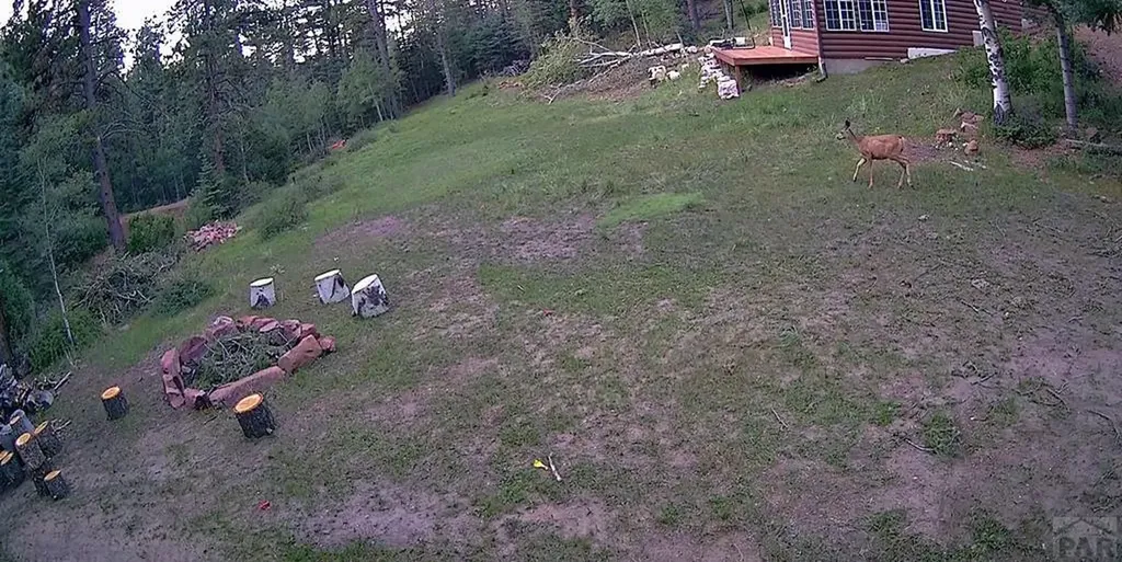 21691 County Road 67 Penrose CO 81223