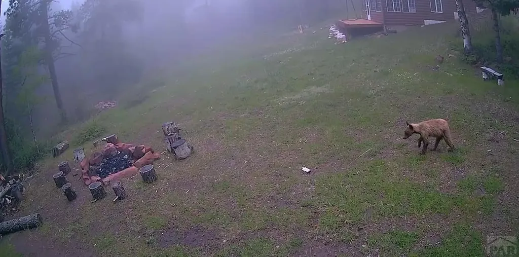 21691 County Road 67 Penrose CO 81223