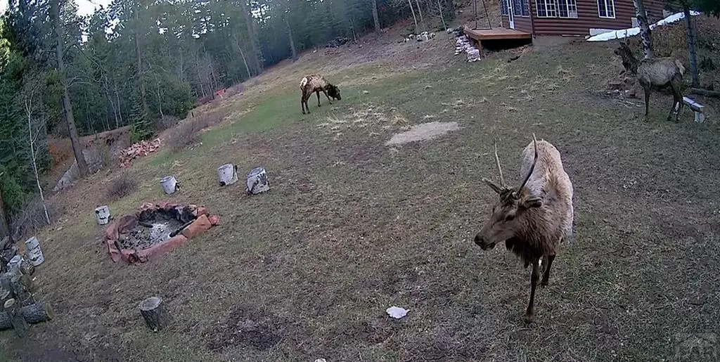 21691 County Road 67 Penrose CO 81223