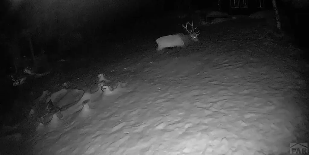 21691 County Road 67 Penrose CO 81223