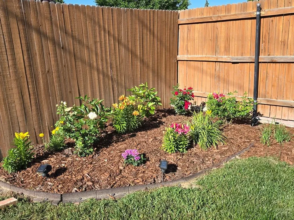 3216 Baltimore Avenue Pueblo CO 81008