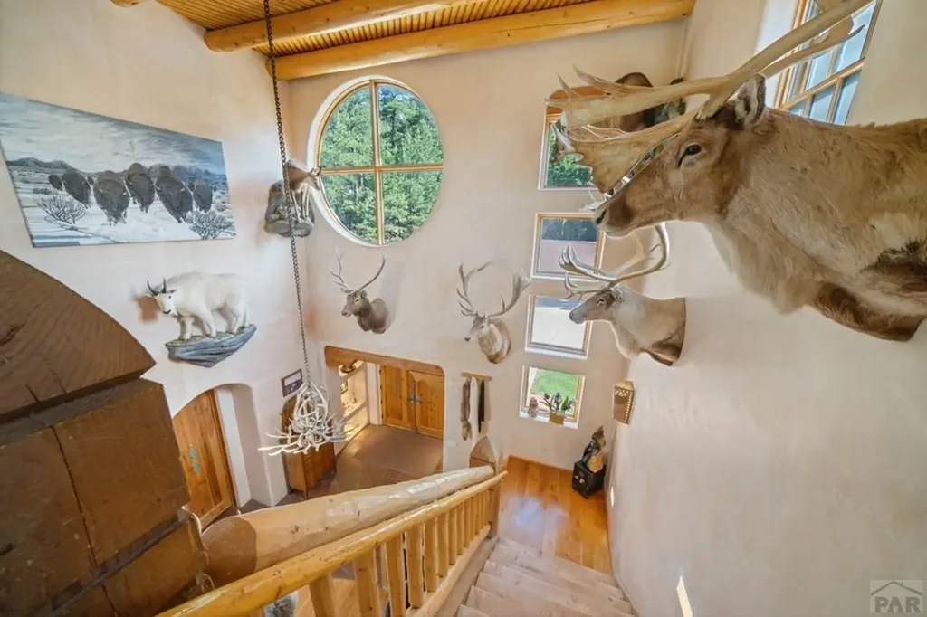 8221 Cuerna Verde Road Rye CO 81069