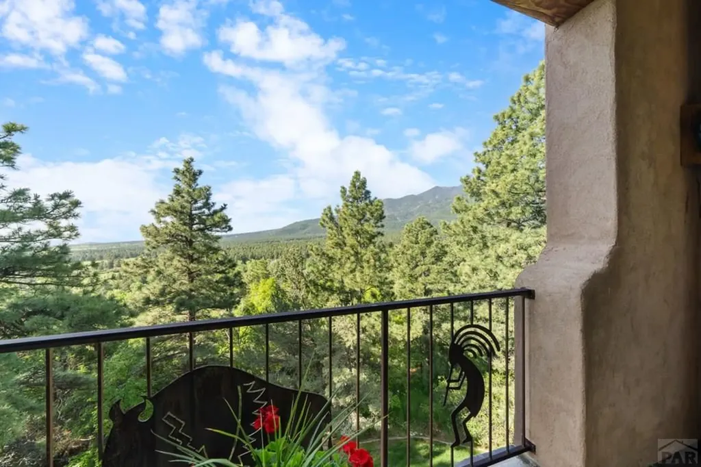 8221 Cuerna Verde Road Rye CO 81069