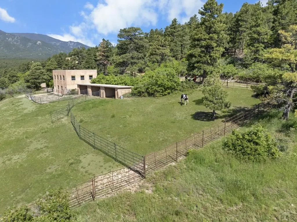 8221 Cuerna Verde Road Rye CO 81069