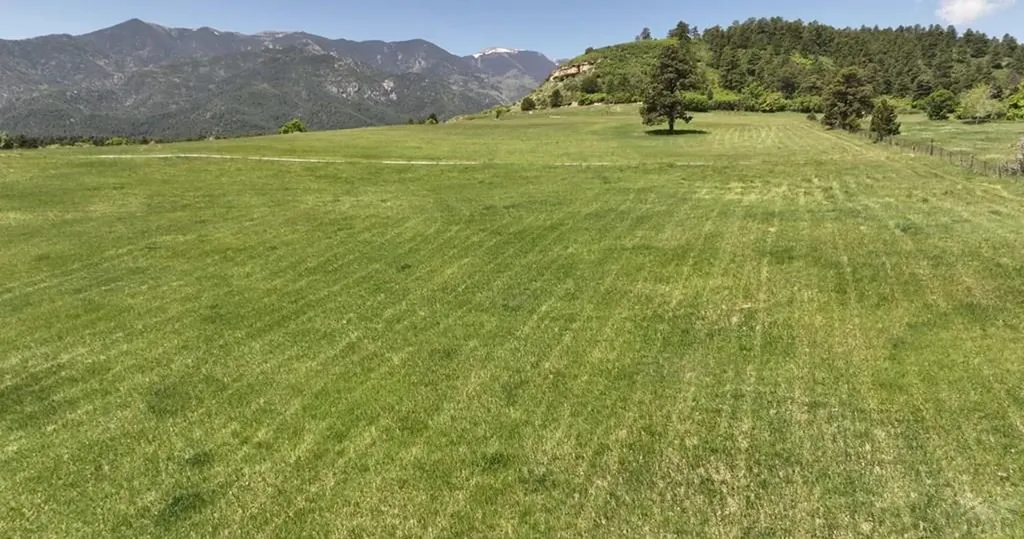 8221 Cuerna Verde Road Rye CO 81069