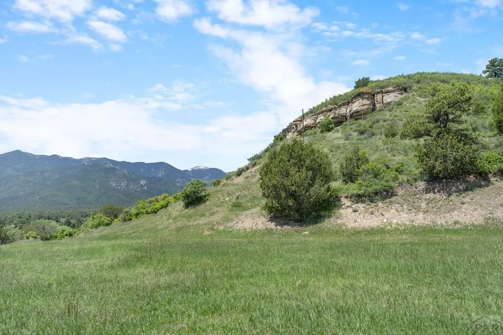 8221 Cuerna Verde Road Rye CO 81069