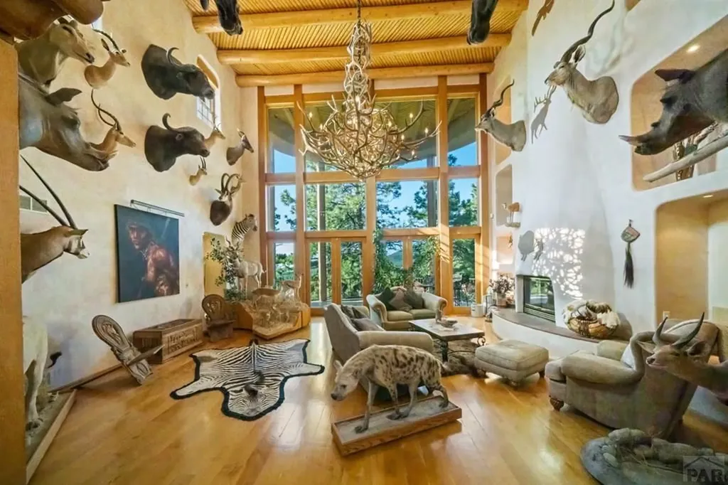 8221 Cuerna Verde Road Rye CO 81069