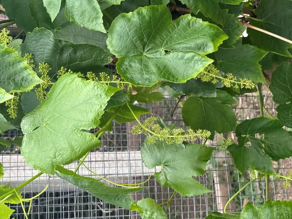 339 S Park Drive Pueblo CO 81005