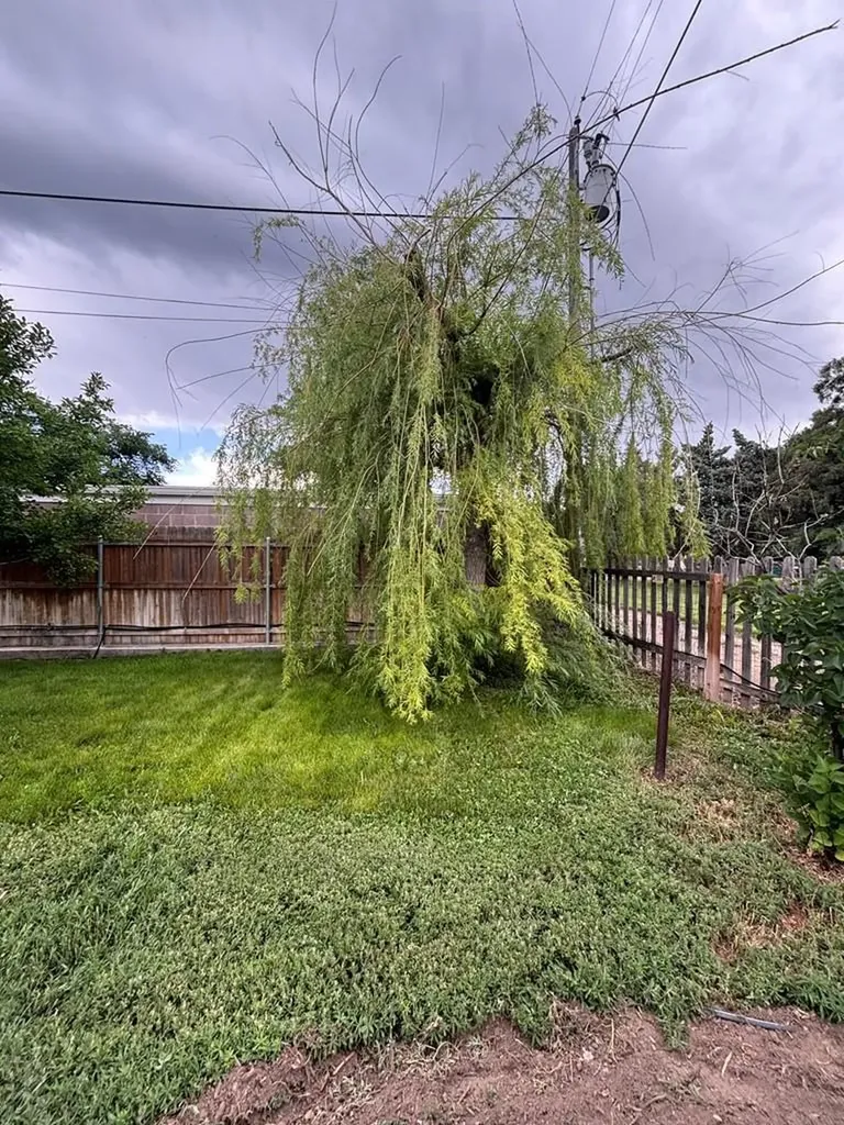 339 S Park Drive Pueblo CO 81005