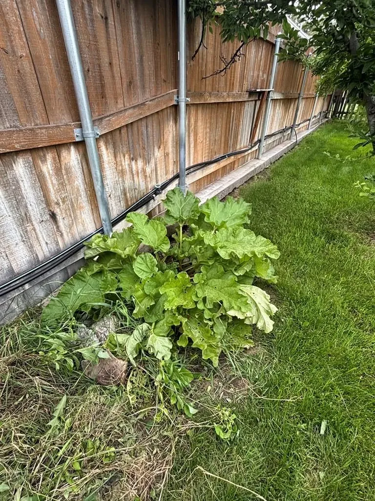 339 S Park Drive Pueblo CO 81005