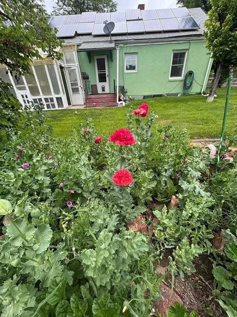 339 S Park Drive Pueblo CO 81005