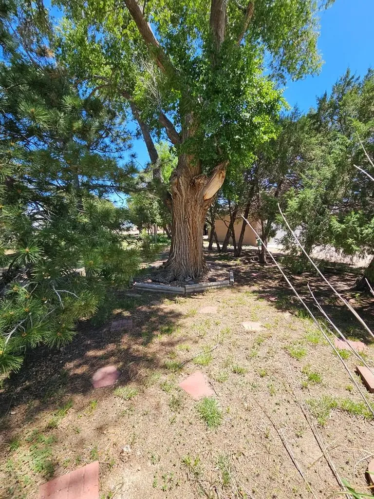 103 S Goff Street Eads CO 81036