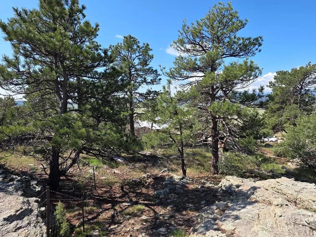 6100 Waterbarrel Road Beulah CO 81023