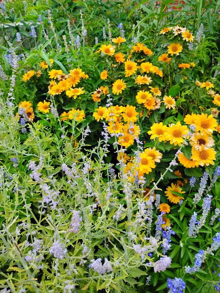 69 Macnaughton Road Pueblo CO 81001