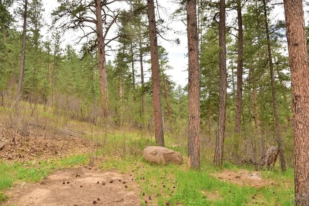 9017 Pine Avenue Beulah CO 81023