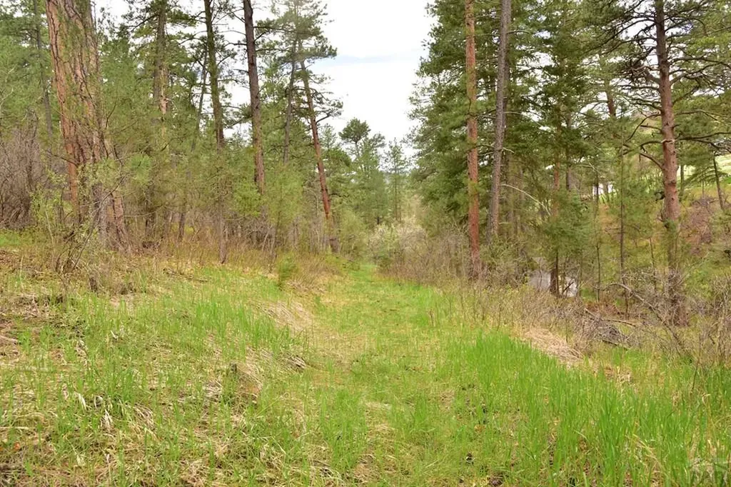 9017 Pine Avenue Beulah CO 81023