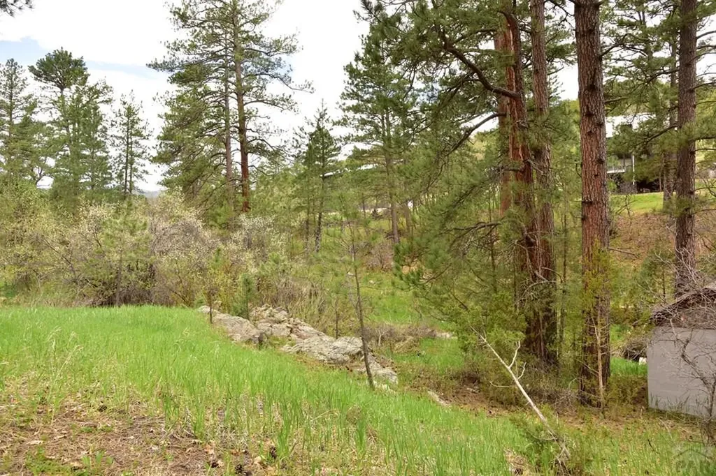 9017 Pine Avenue Beulah CO 81023