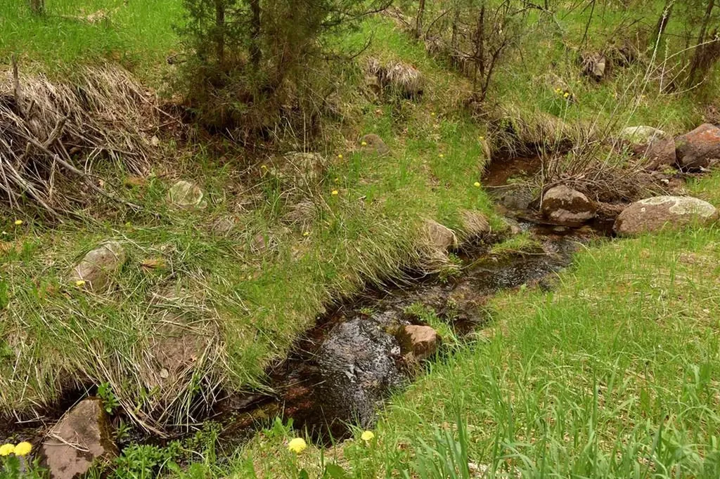 9017 Pine Avenue Beulah CO 81023