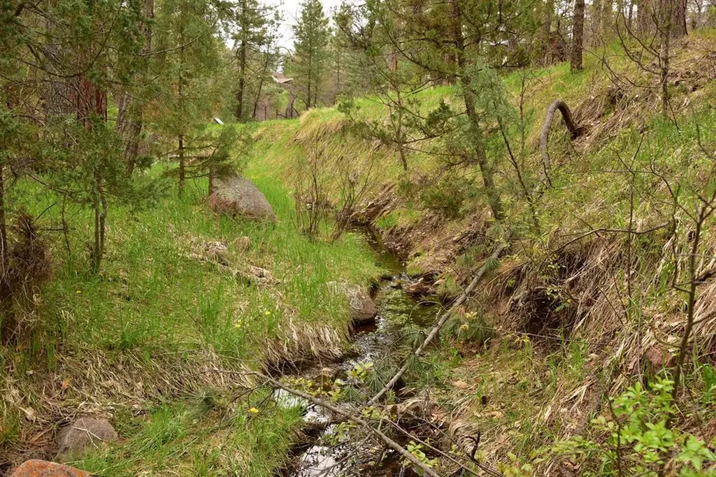 9017 Pine Avenue Beulah CO 81023