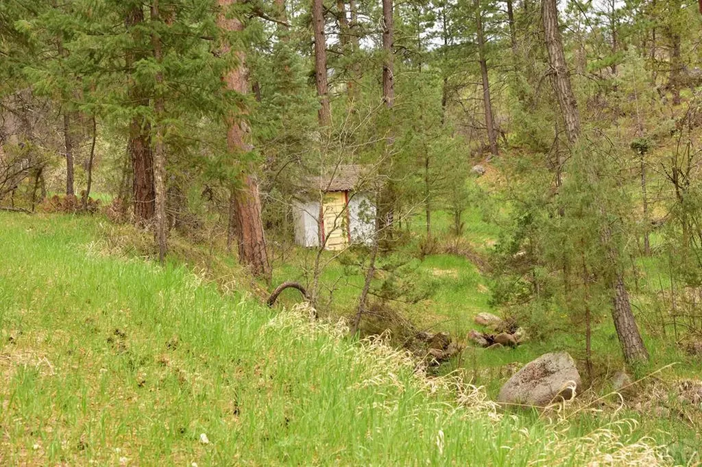 9017 Pine Avenue Beulah CO 81023