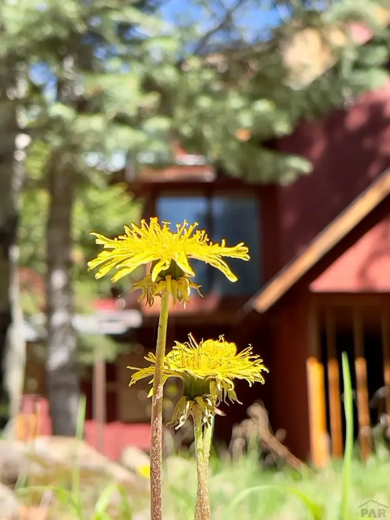 18450 Highway 165 Rye CO 81069