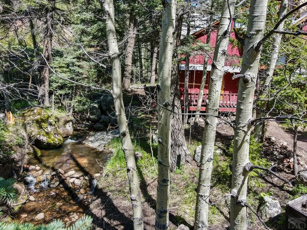 18450 Highway 165 Rye CO 81069