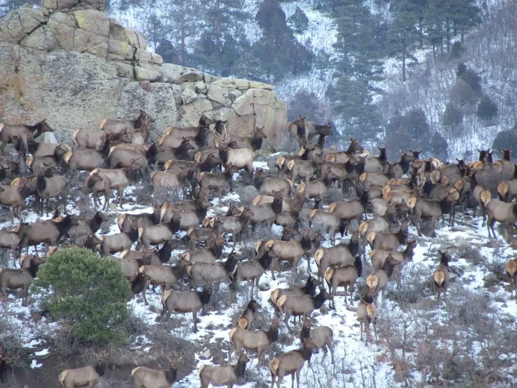 741 Big Wall Lane La Veta CO 81055