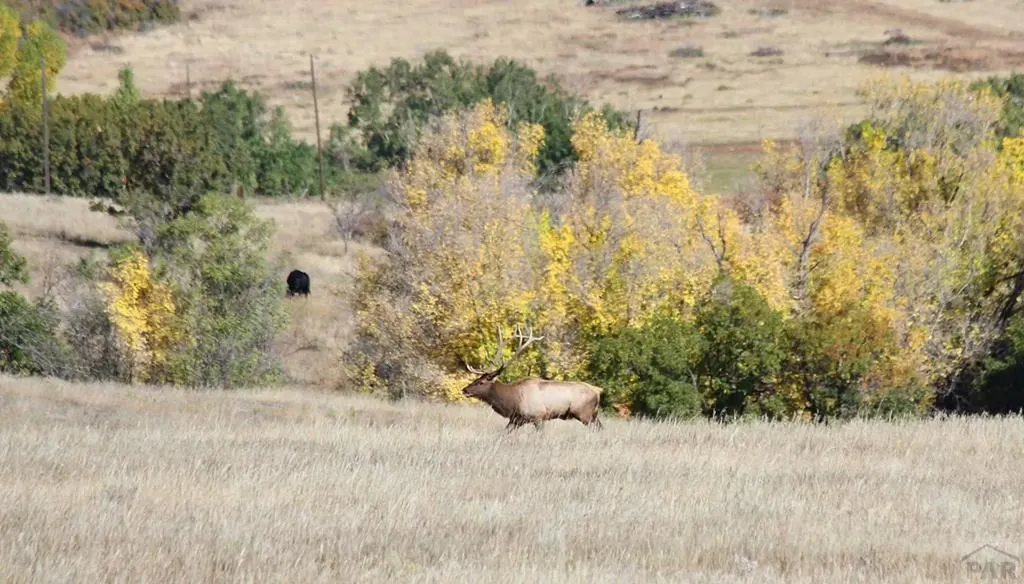 741 Big Wall Lane La Veta CO 81055