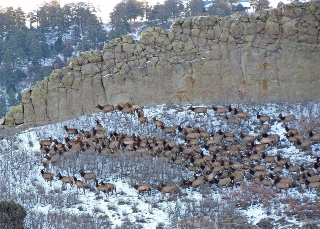 741 Big Wall Lane La Veta CO 81055