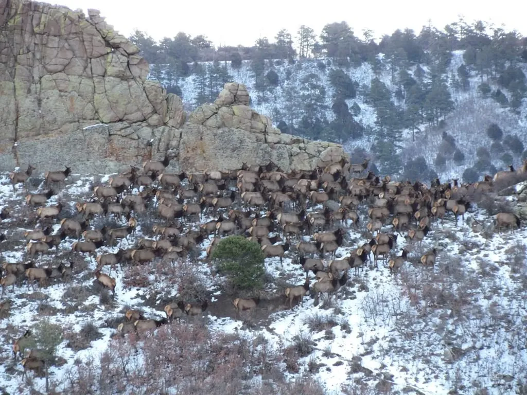 741 Big Wall Lane La Veta CO 81055