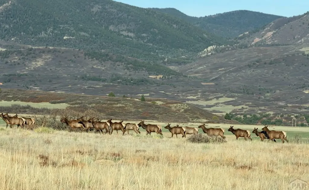 741 Big Wall Lane La Veta CO 81055