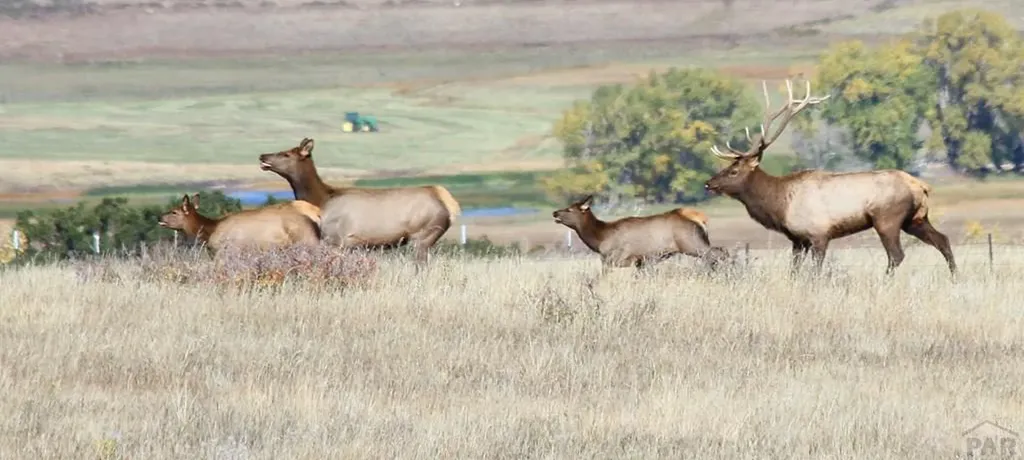 741 Big Wall Lane La Veta CO 81055