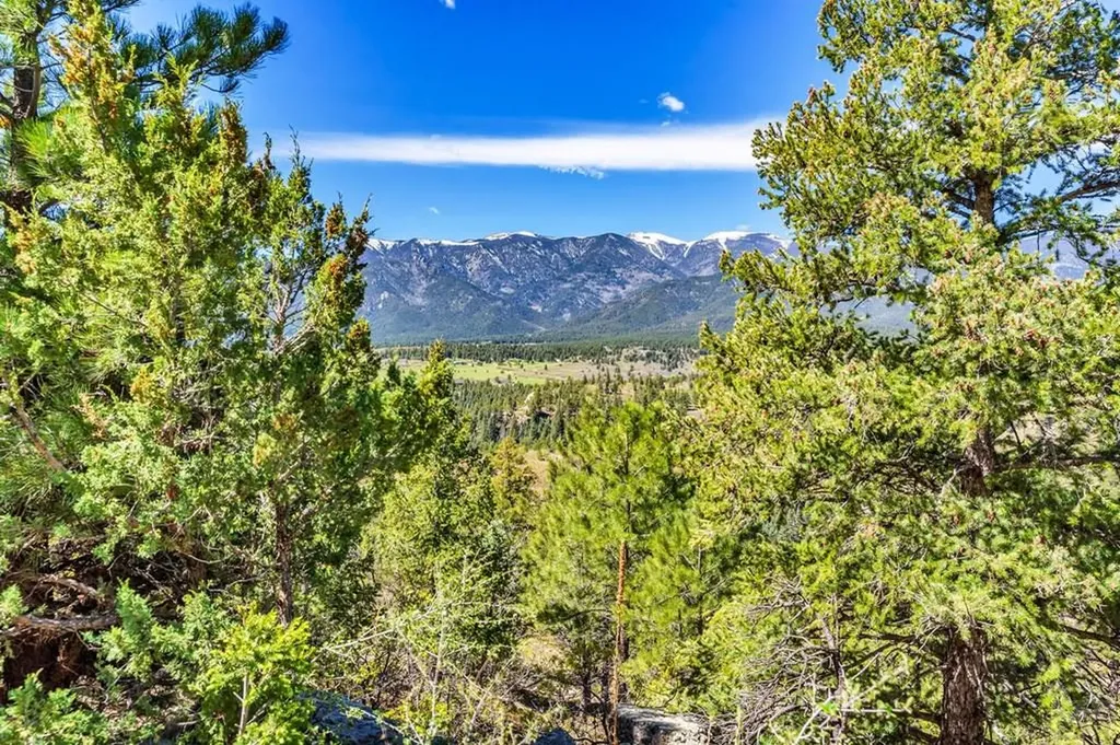 8188 Lone Bison Road Rye CO 81069