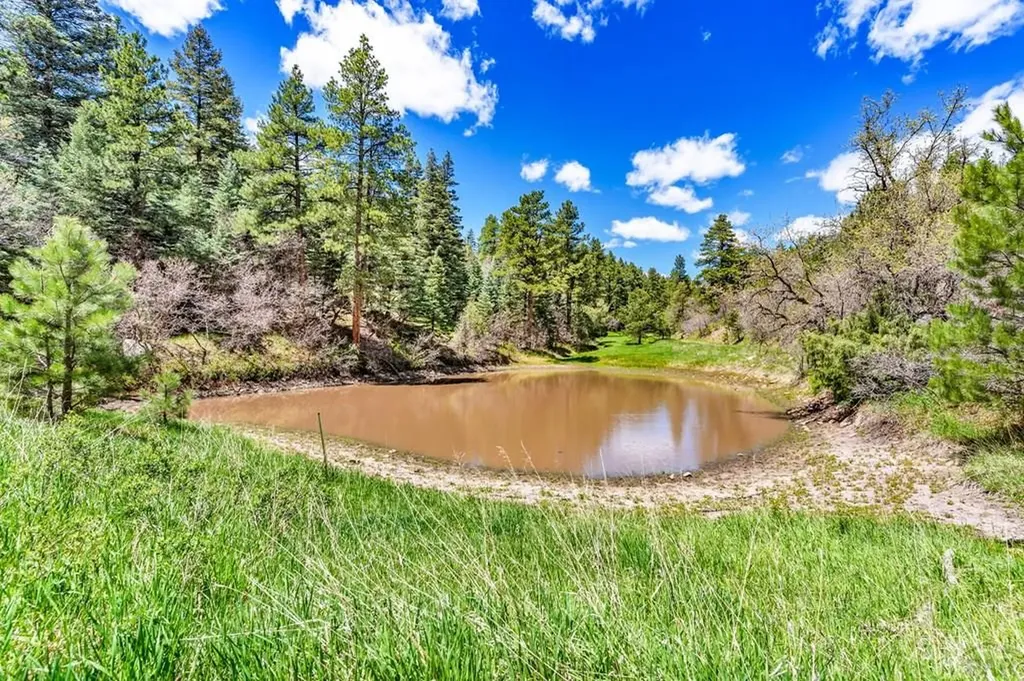 8188 Lone Bison Road Rye CO 81069