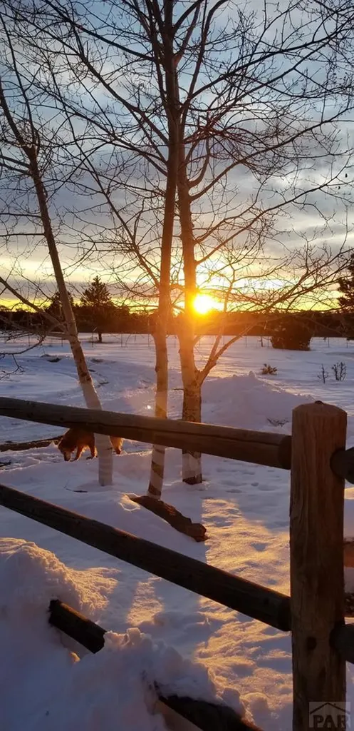 8188 Lone Bison Road Rye CO 81069