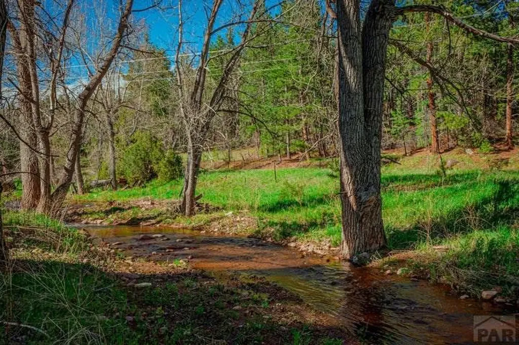 5207 North Creek Road Beulah CO 81023