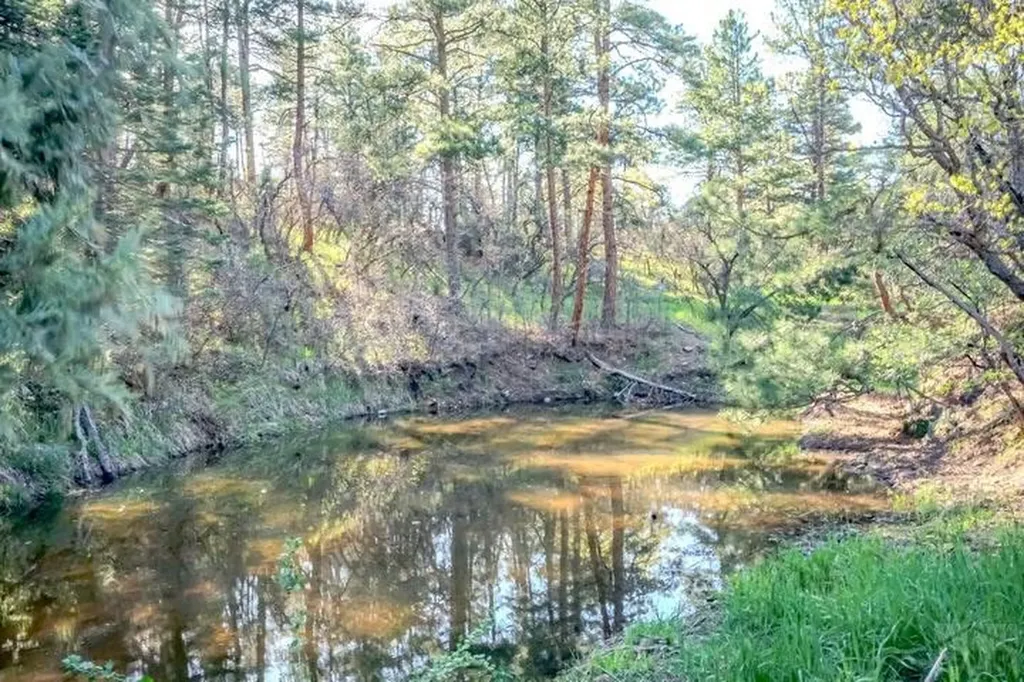 5207 North Creek Road Beulah CO 81023