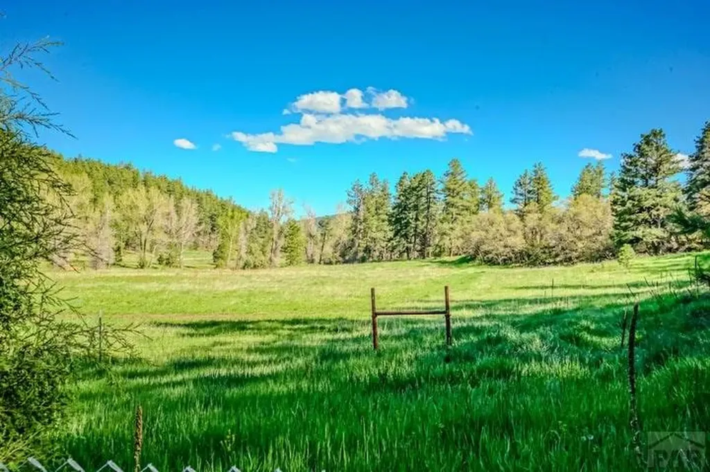 5207 North Creek Road Beulah CO 81023