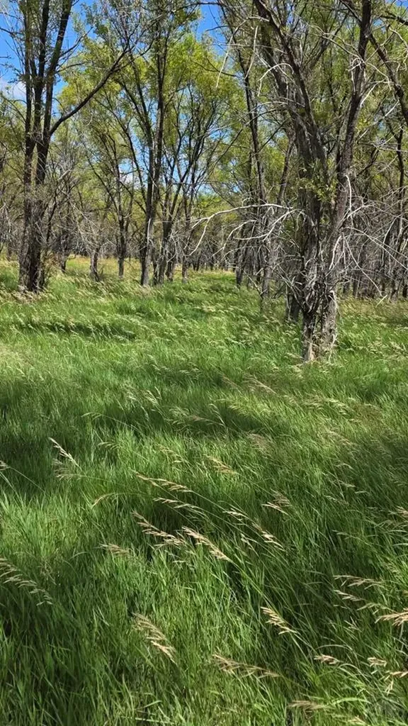 7621 Highway 50 Las Animas CO 81054